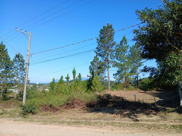 #867 - Área para Venda em Caraguatatuba - SP - 3